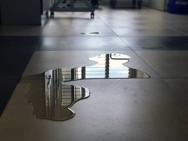 Best Water damage restoration near me  in Rock Creek, MN