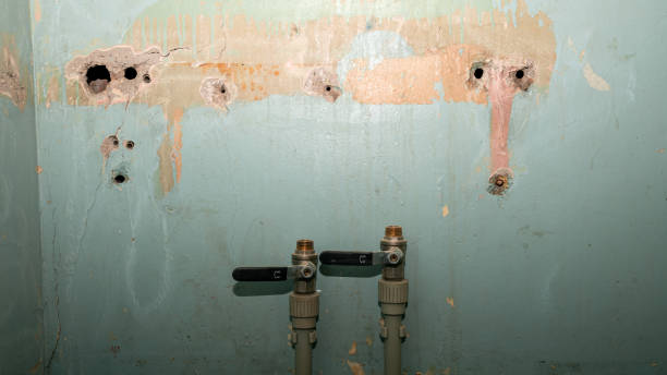 Best Mold removal after water damage  in Rock Creek, MN