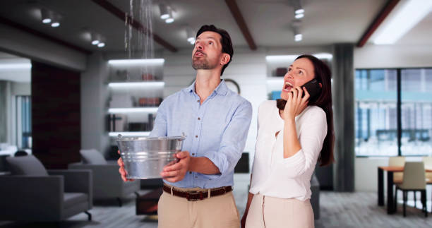 Best 24-hour water damage restoration  in Rock Creek, MN