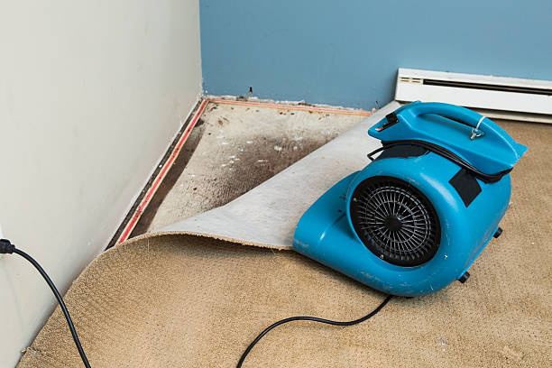 Best Emergency water damage restoration  in Rock Creek, MN